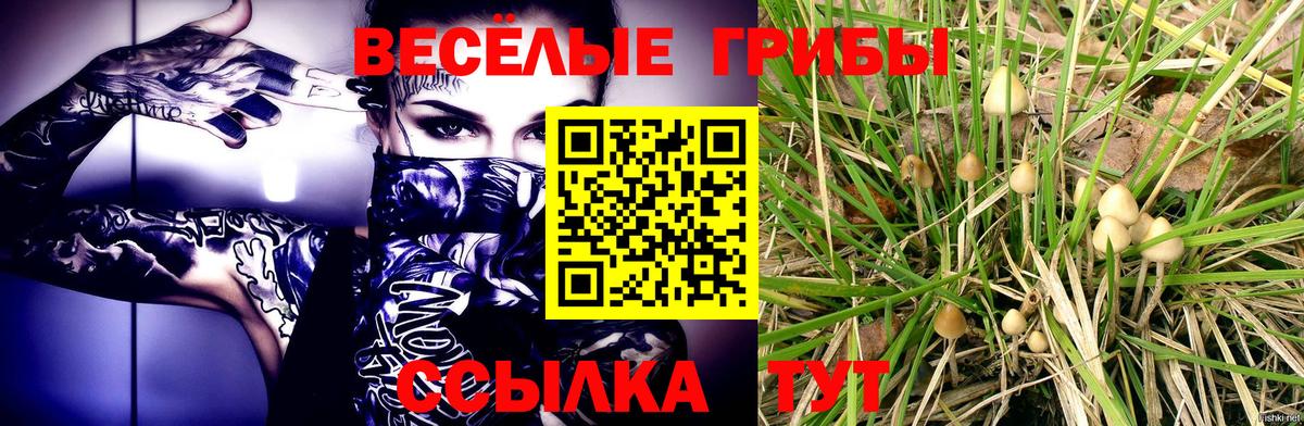 Галлюциногенные грибы ЛСД Гай