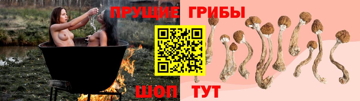 Псилоцибиновые грибы MAGIC MUSHROOMS  Вход с VPN  Гай 